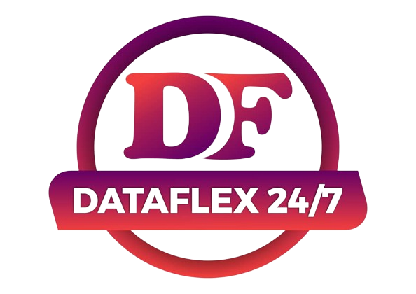 Dataflex247 Venture Logo