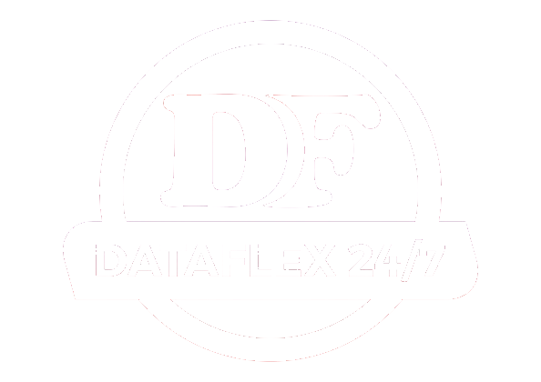Dataflex247 Venture Logo